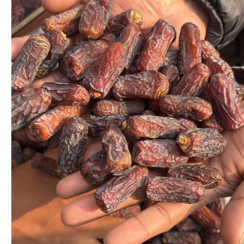 মরিয়ম মমতাজ